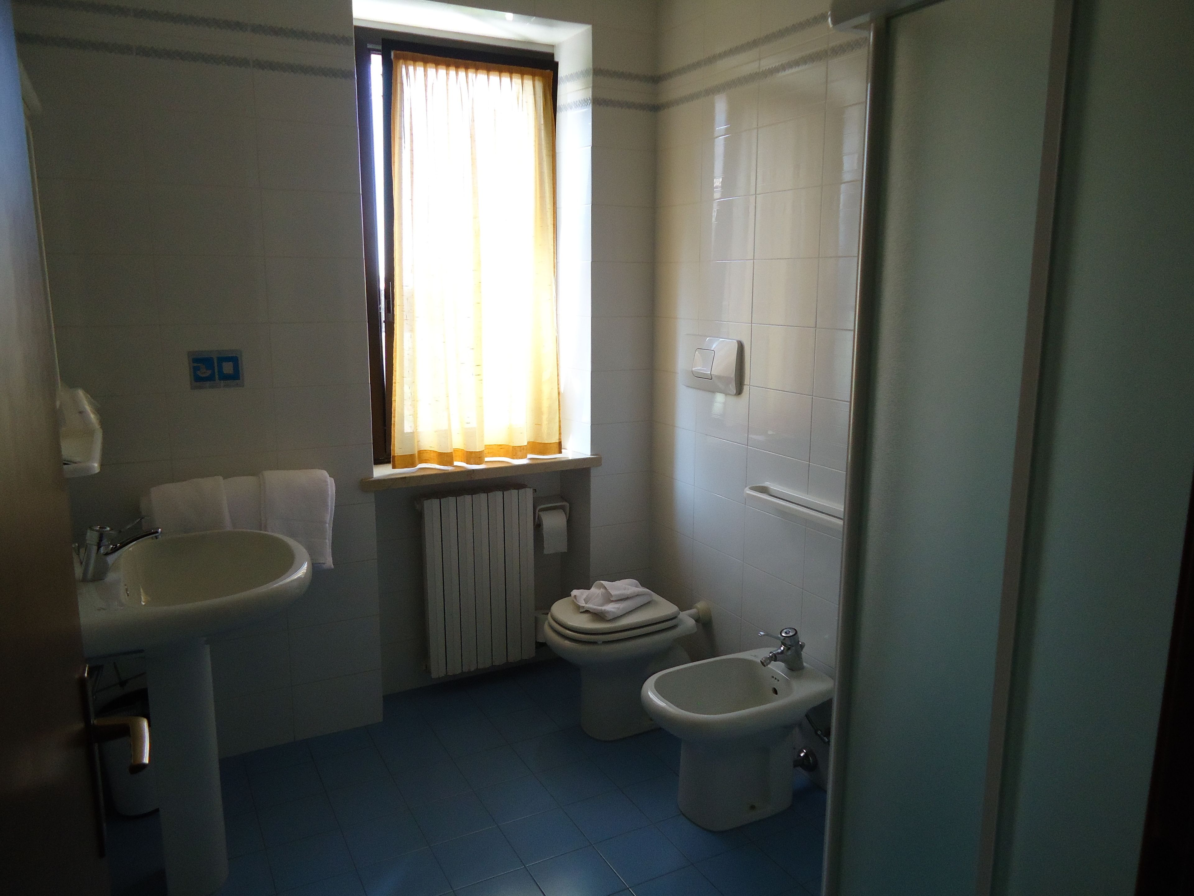 shower, hair dryer, bidet, towels