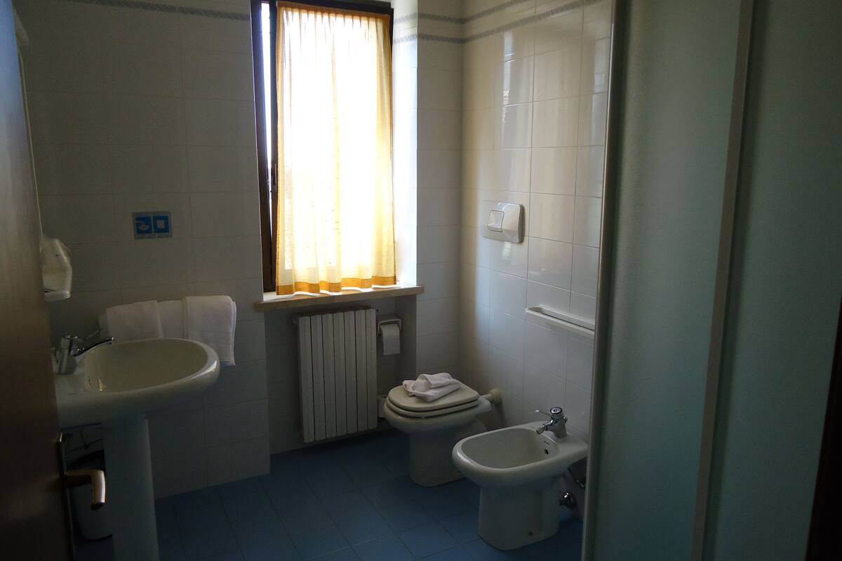 shower, hair dryer, bidet, towels