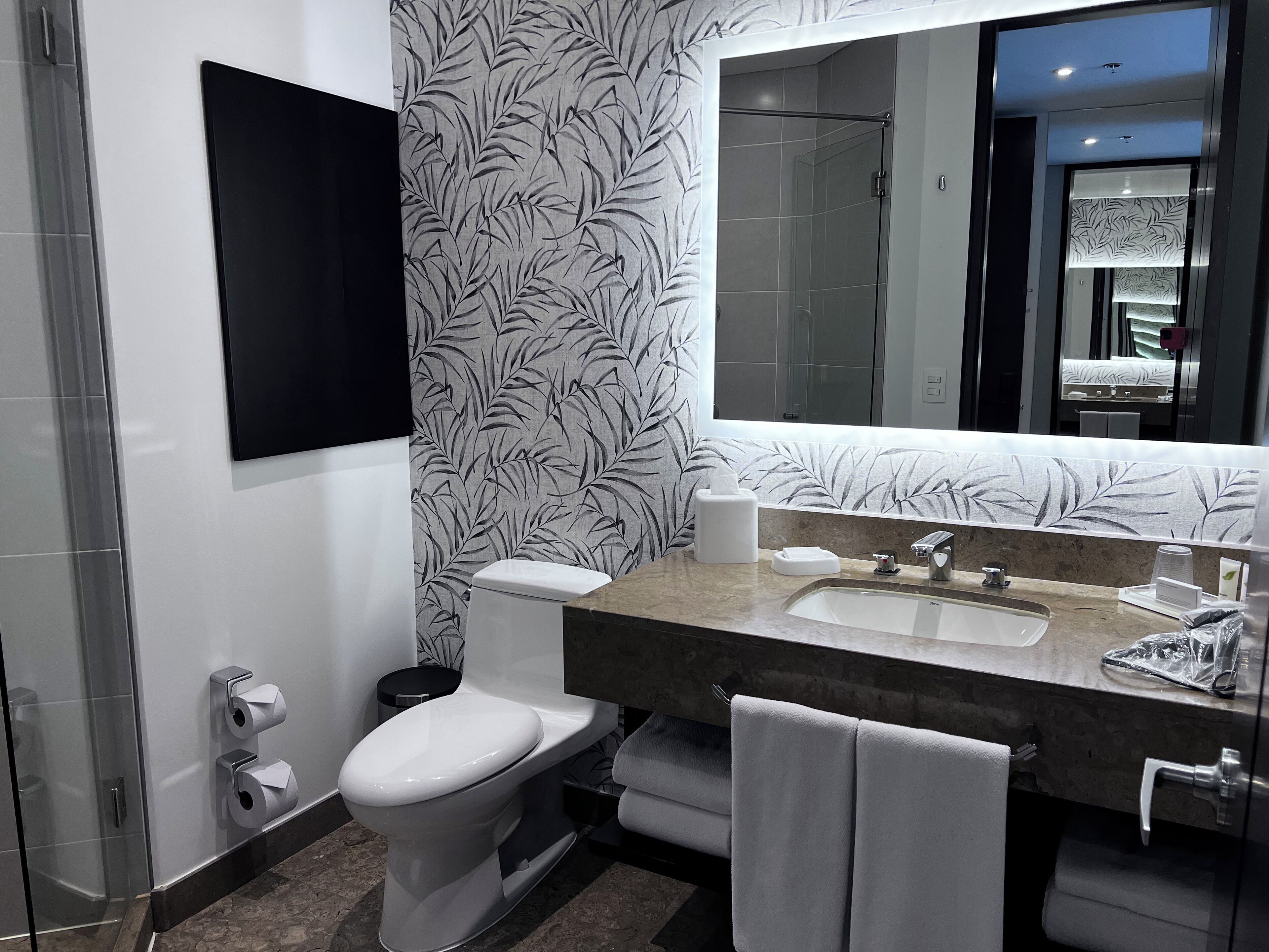 shower, designer toiletries, hair dryer, towels