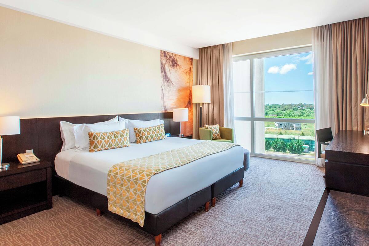 Habitación de hotel con una cama grande, un escritorio, una silla, una lámpara y vistas a zonas verdes por la ventana.