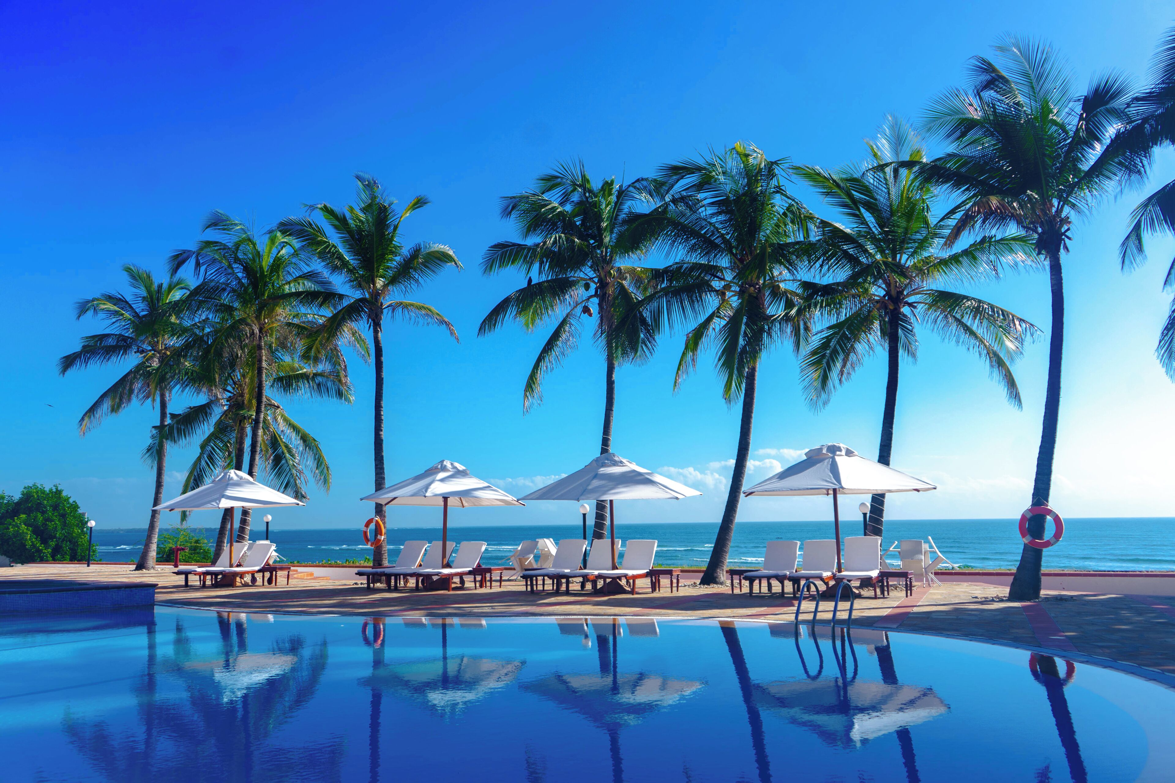 Outdoor pool, pool loungers