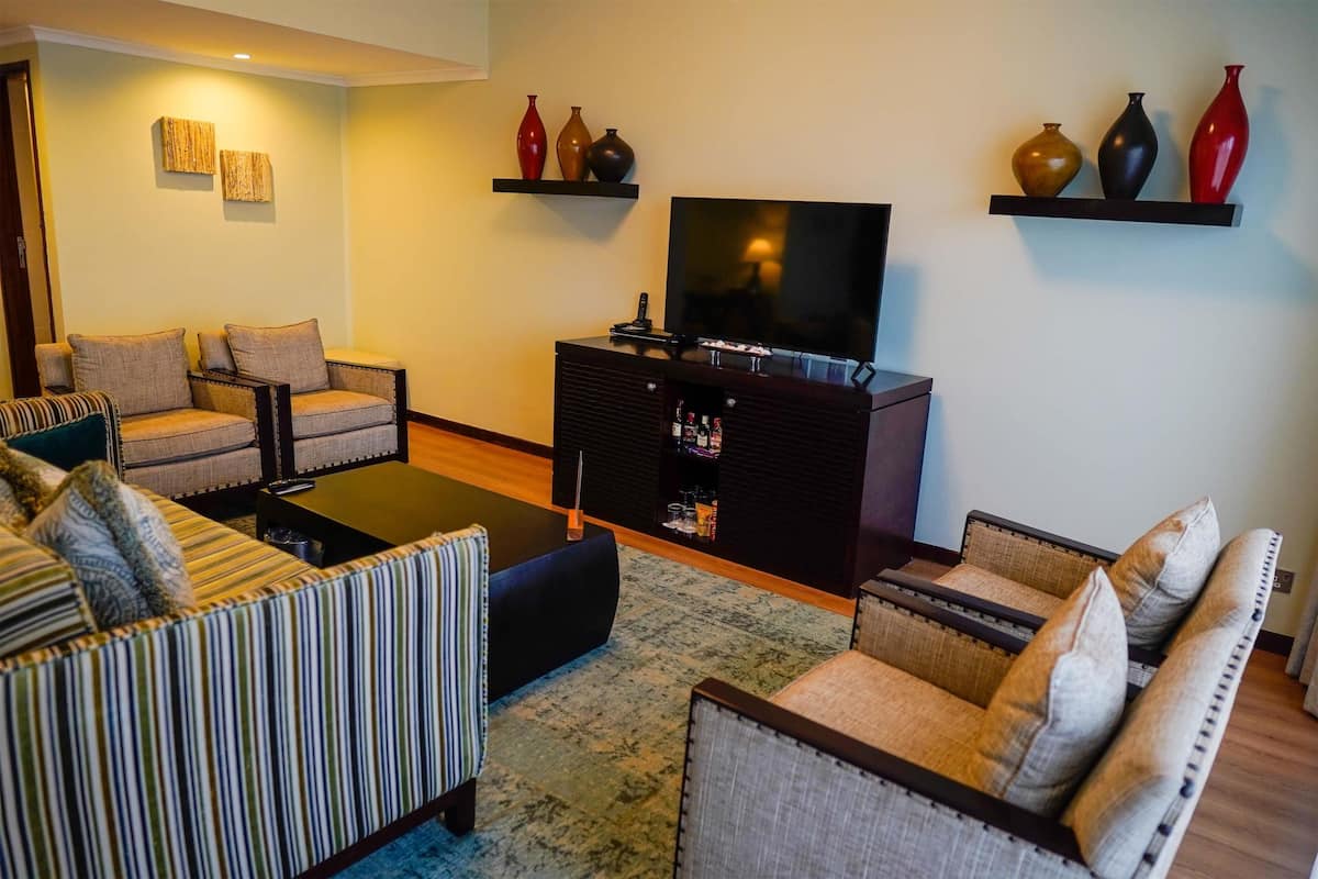 Suite presidencial | Minibar, caixa forta a l'habitació i decoració individual