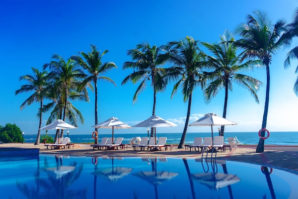 Outdoor pool, sun loungers