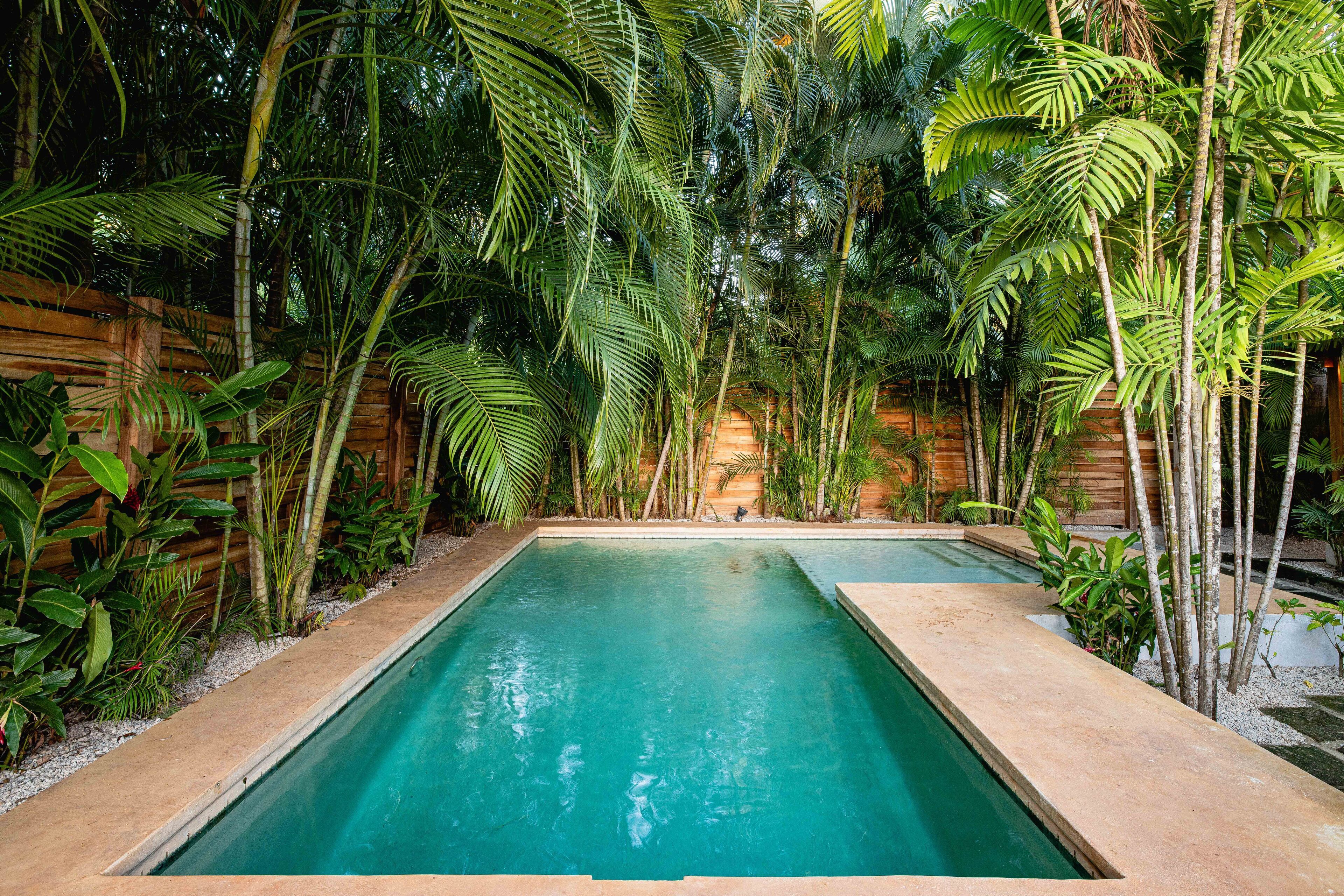 Une piscine rectangulaire entourée d’une végétation tropicale luxuriante et d’une clôture en bois.