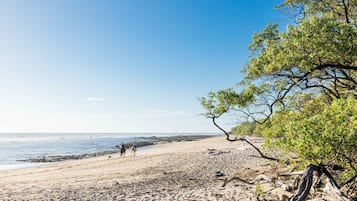鄰近海灘