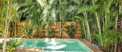 A swimming pool surrounded by lush tropical plants and a wooden fence.