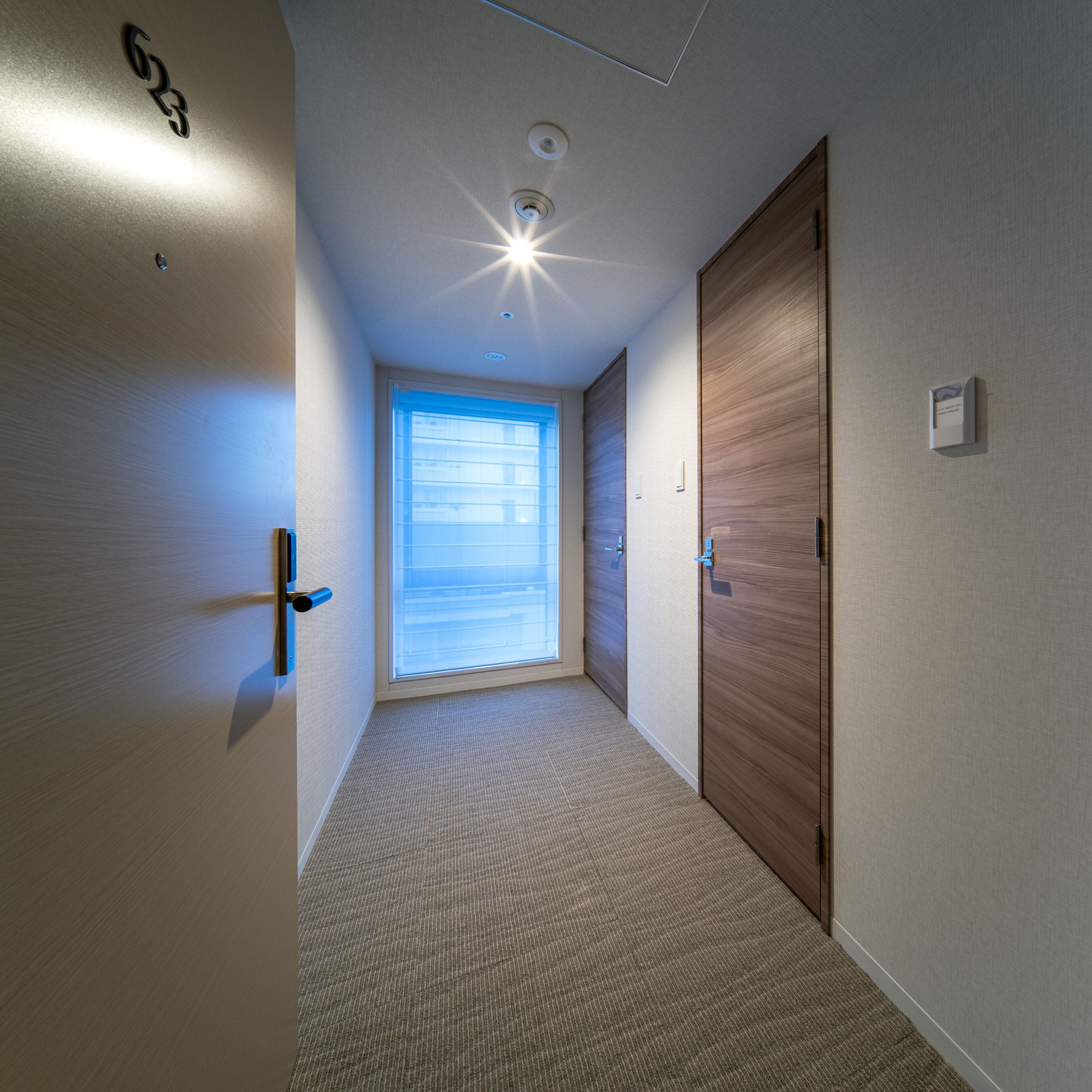 down duvets, pillow-top beds, blackout curtains, soundproofing