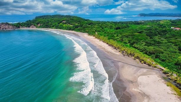 Un paisaje costero con playa, abundante vegetación y una vista despejada del océano.