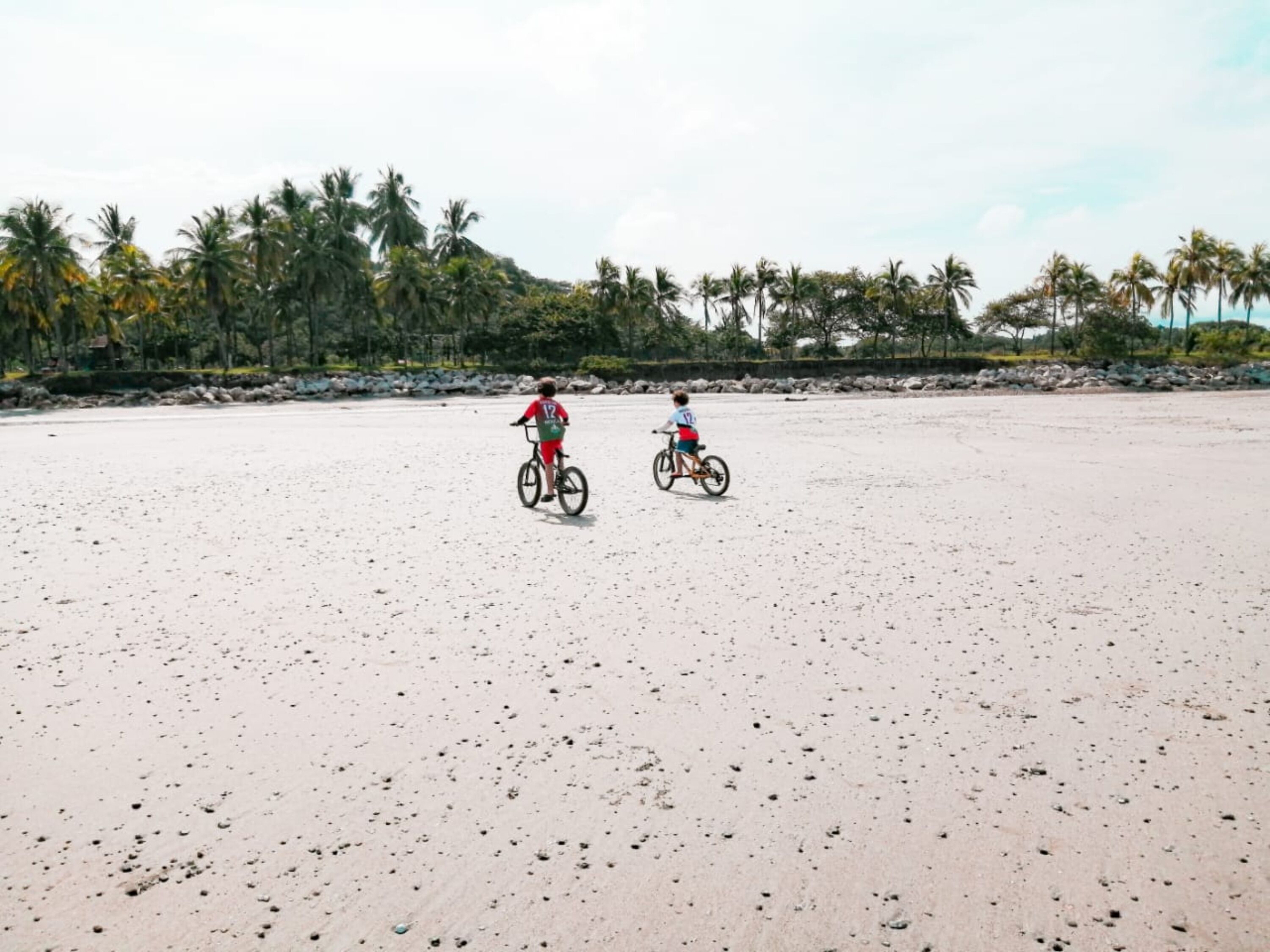 Two people riding bicycles on a sandy beach with palm trees in the background.