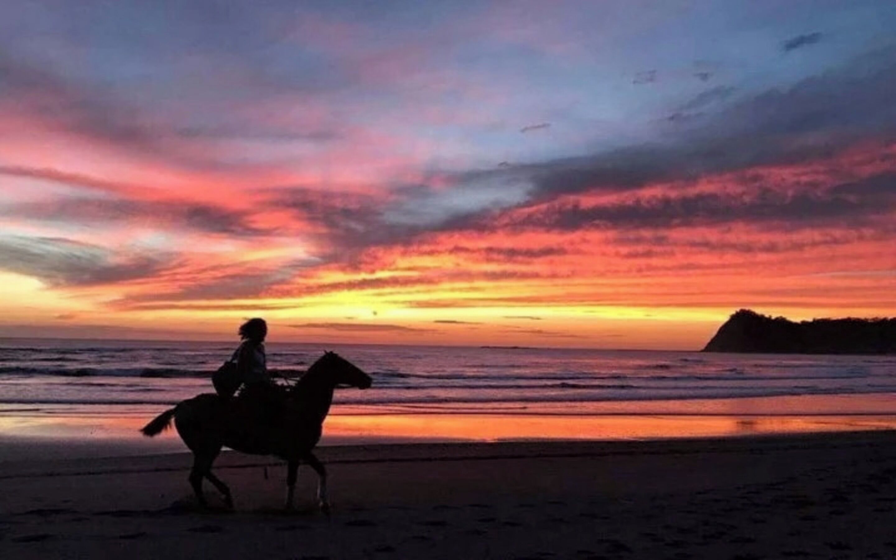 A silhouette of a person riding a horse on a beach at sunset.