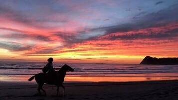 A silhouette of a person riding a horse on a beach at sunset.