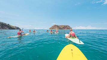 A group of people paddleboarding on a calm sea with a small island in the background.