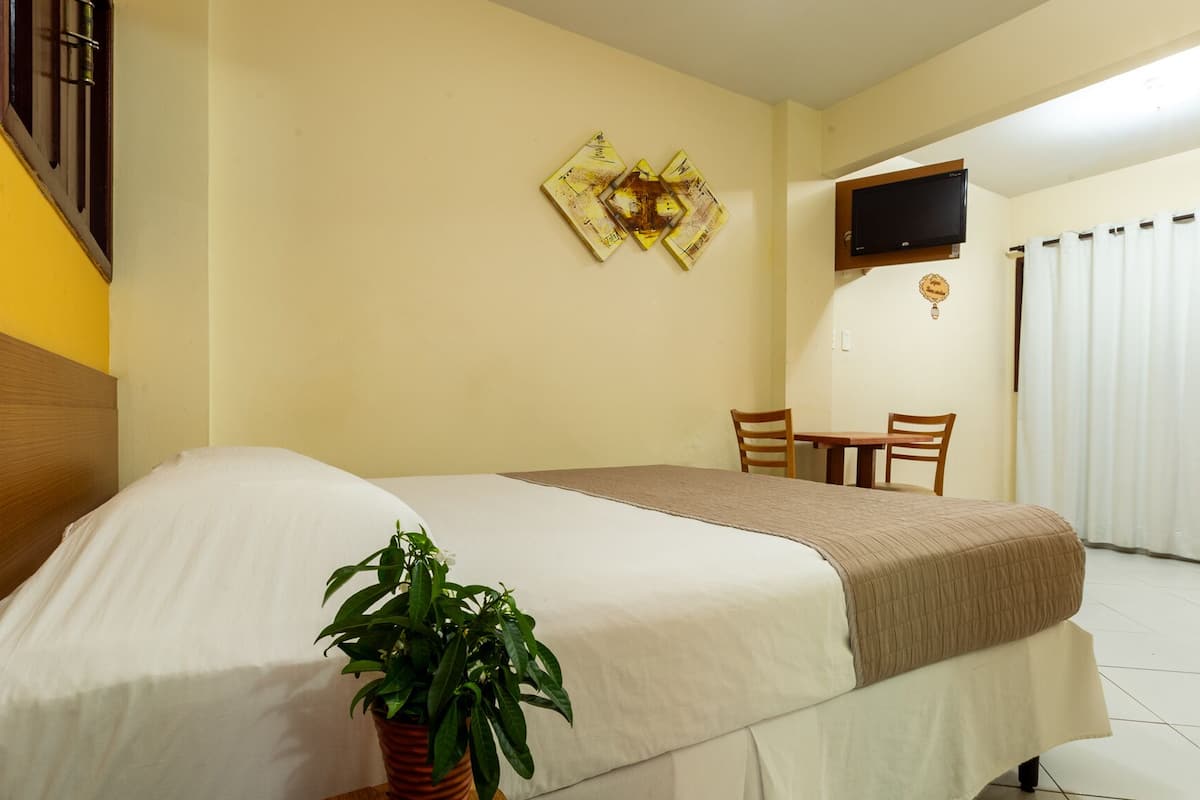 Quarto de hotel com cama, uma pequena mesa, duas cadeiras, uma planta em vaso, televisão na parede e janela com cortinas.