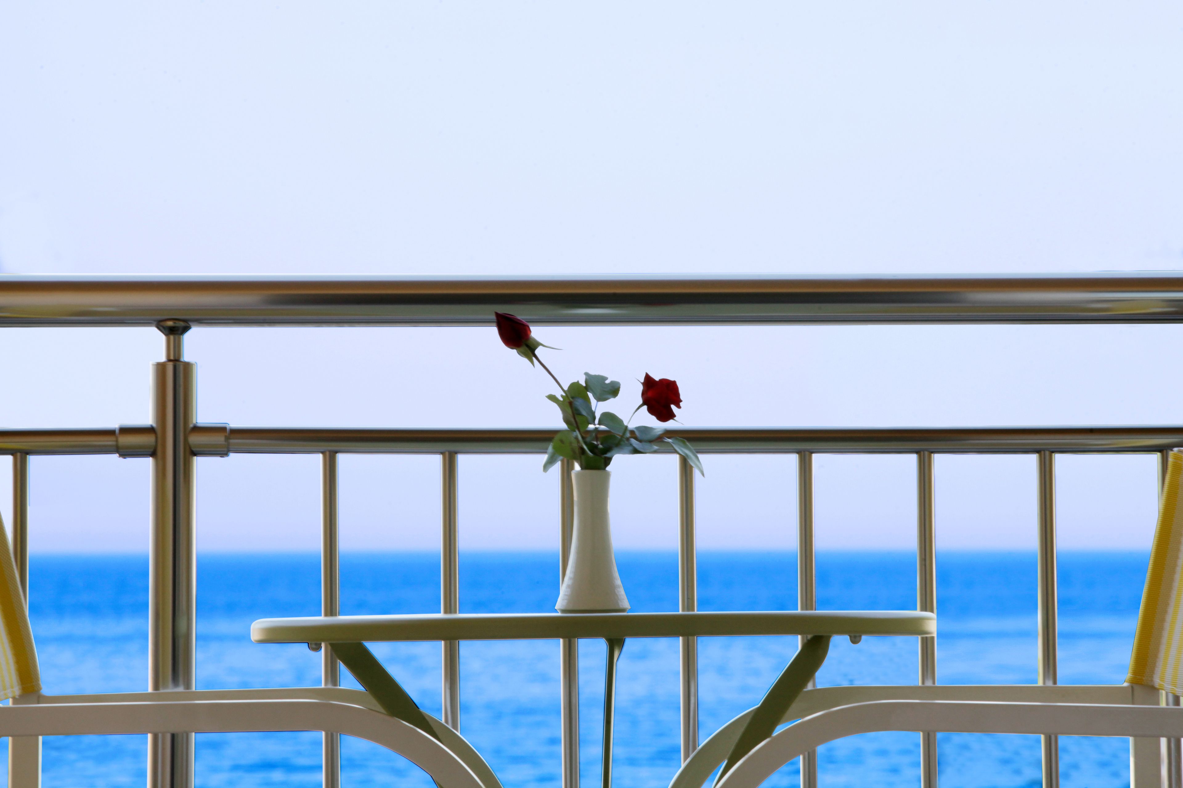 deluxe room, sea view | terrace/patio