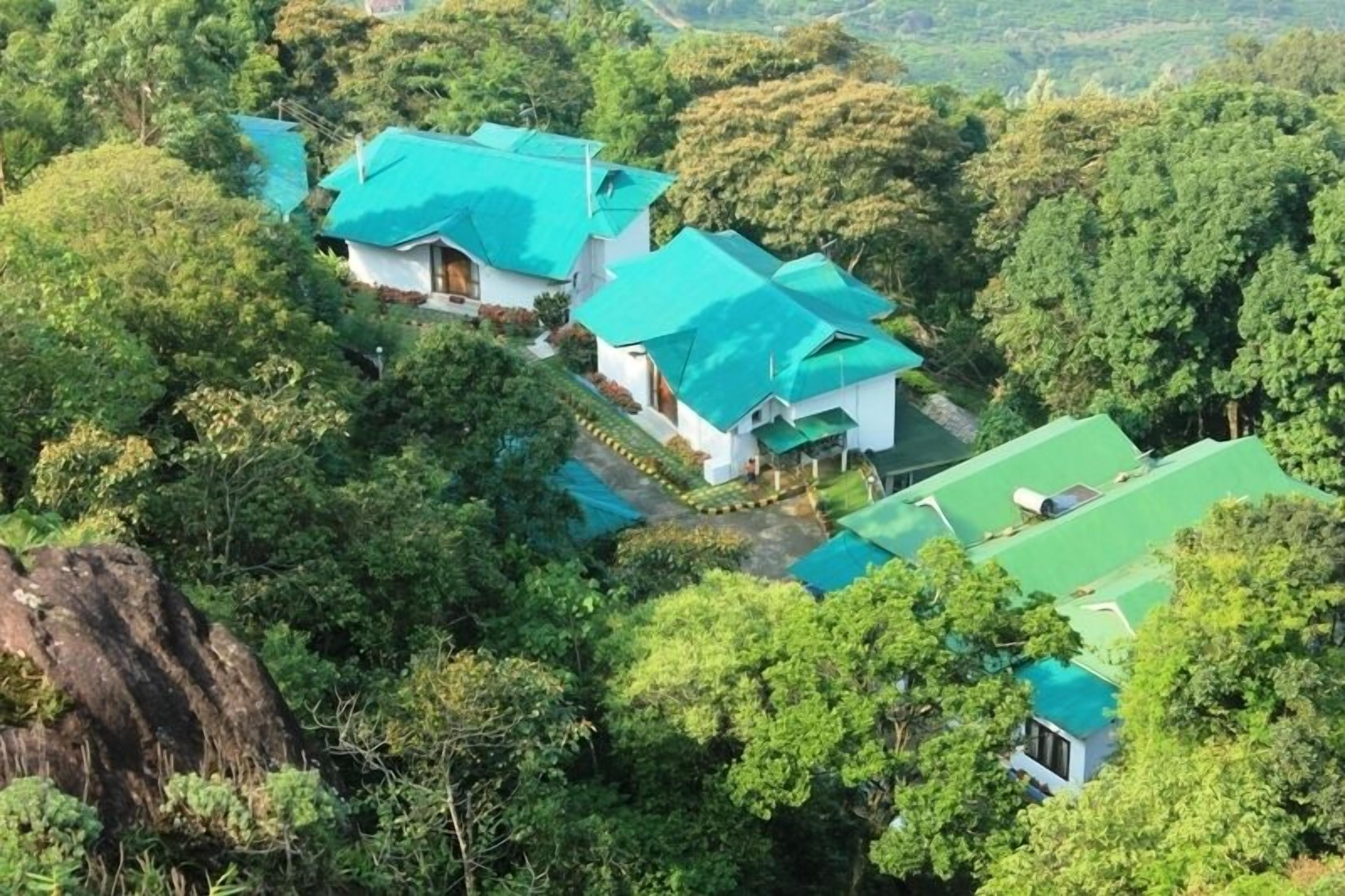 Un resort apartado con varias construcciones rodeado de un bosque denso.