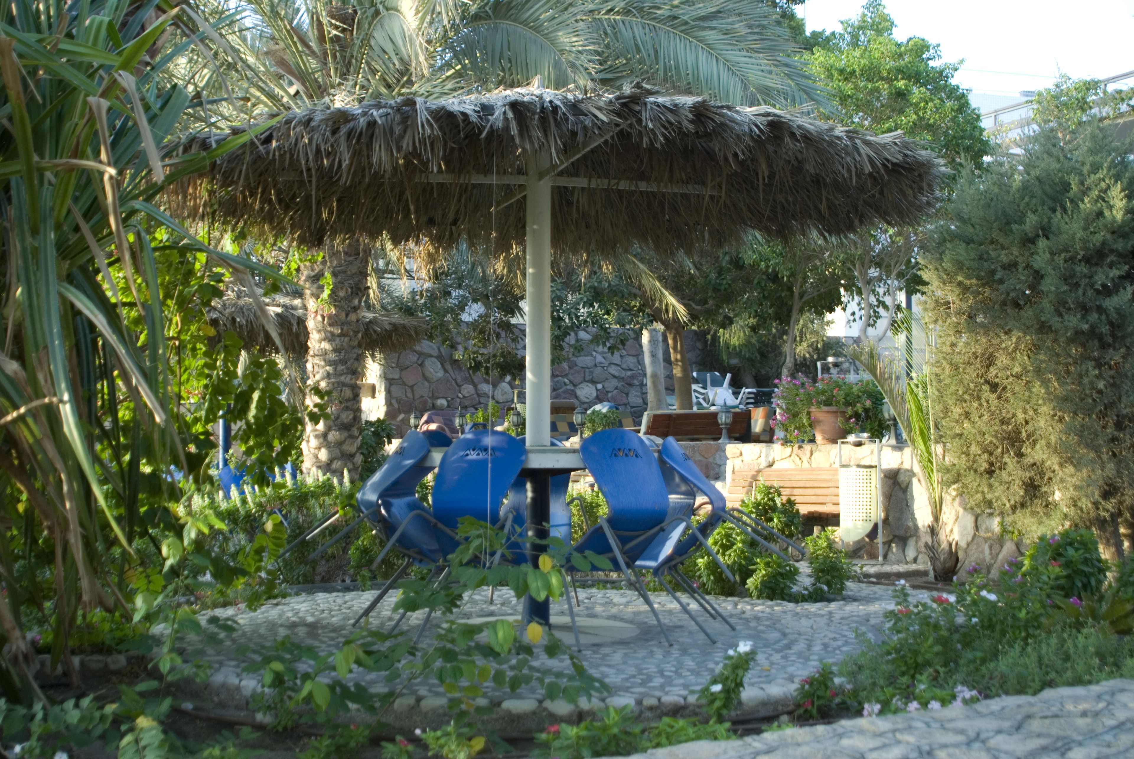 A patio area with a thatched umbrella, stone wall, and blue chairs.