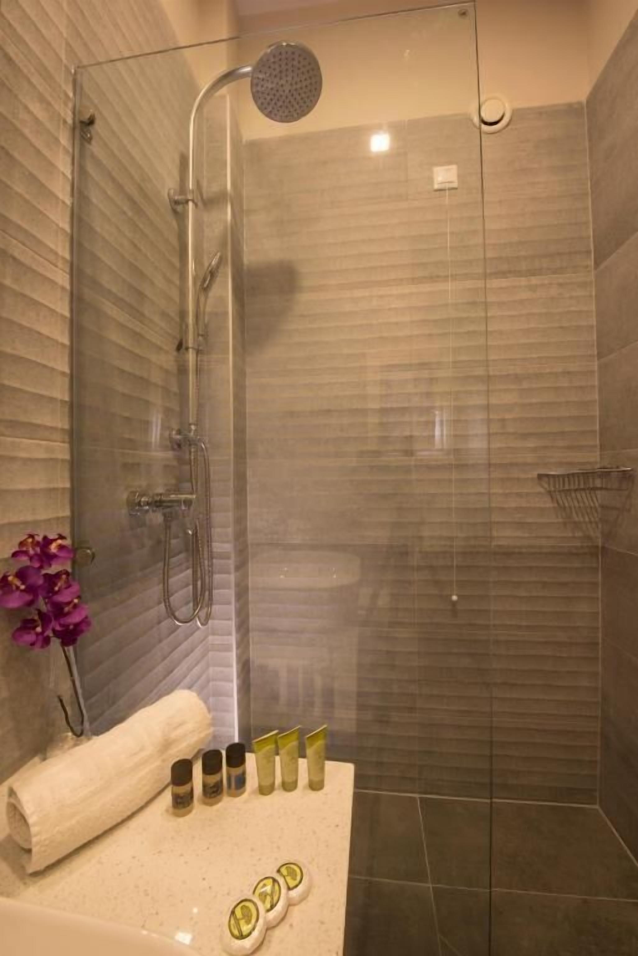 shower, rainfall showerhead, free toiletries, hair dryer