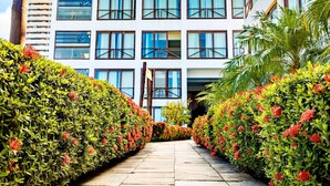 A pathway flanked by neatly trimmed hedges with red flowers, leading to a modern building with multiple windows and balconies. - Moriah Natal Beach Hotel (Natal)