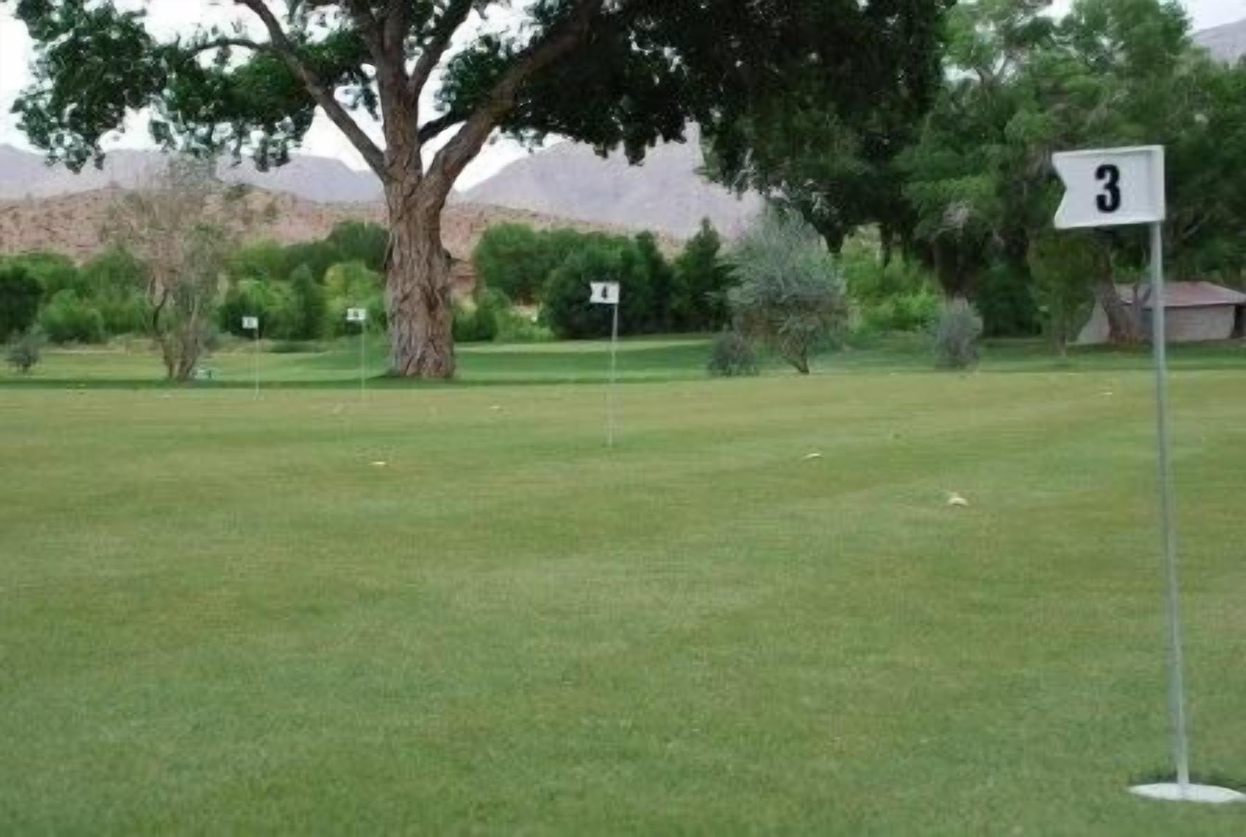 A golf course with a large tree and a sign indicating hole number 3.