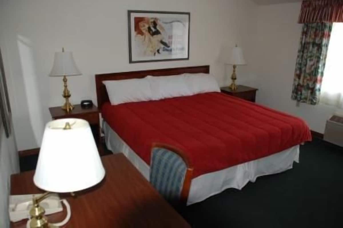 Standaard kamer, 1 kingsize bed, niet-roken | Een bureau, verduisterende gordijnen, een strijkplank/strijkijzer