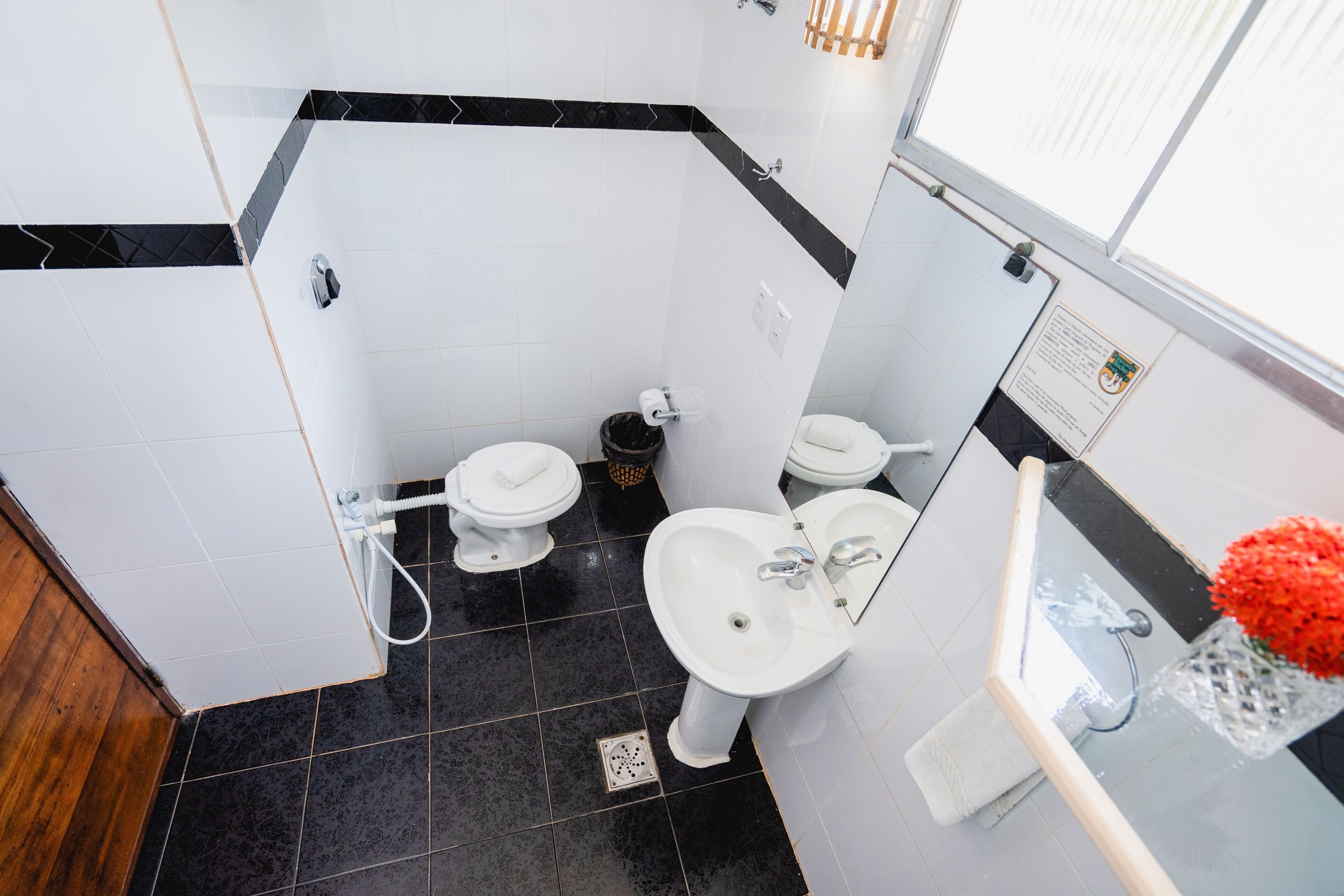 Photo - Pousada Bicho Preguiça