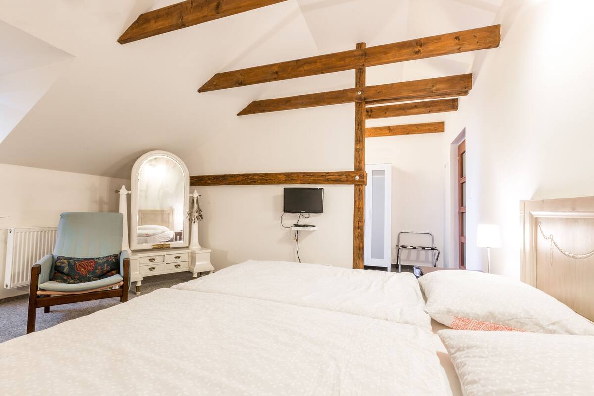 A bedroom with a large bed, a dresser, a chair, a mirror, a television, and a radiator.