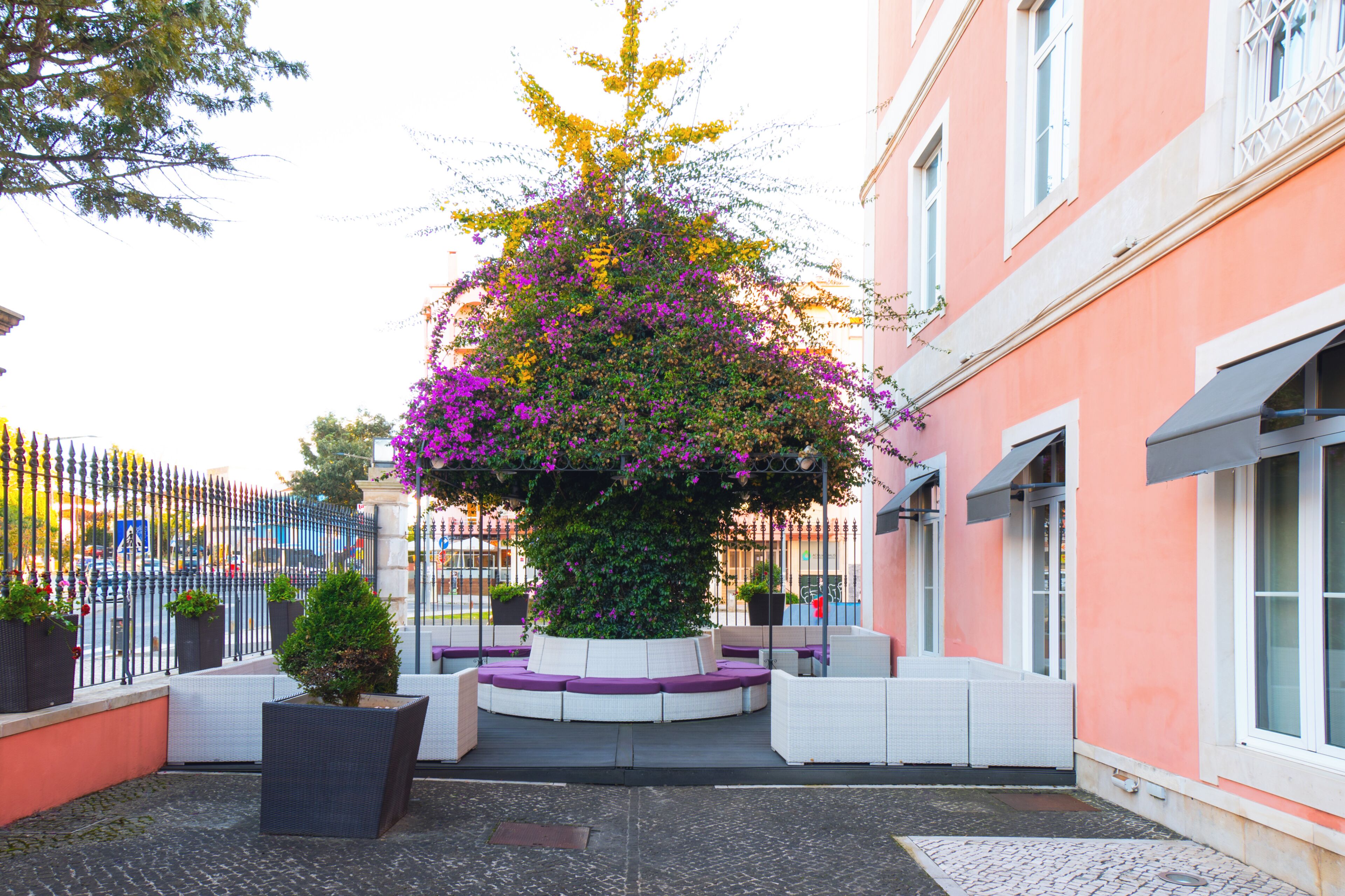 A courtyard with a central planter, seating area, and a building facade.