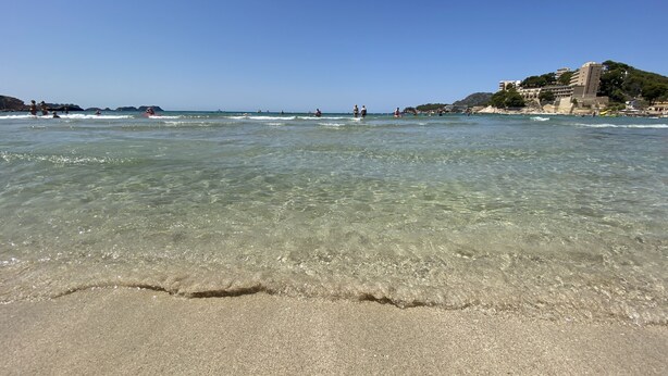 A beach with clear water, a sandy shore, and buildings in the background. - Hostal Villa Rosa (Calvia)