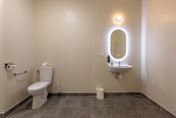 A bathroom with a toilet, sink, mirror, and a trash bin. - Domaine de la Courbe Hôtel & Spa (Le Lude)