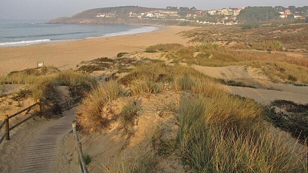 Ein sandiger Strand mit einer Holzpromenade, die zum Wasser führt, umgeben von Dünen und Vegetation.