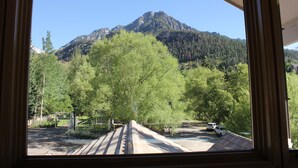 Blick auf einen Berg aus einem Fenster, mit einem bewaldeten Gebiet und einem Parkplatz im Blick.