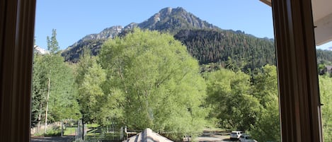 Vue depuis l’hébergement