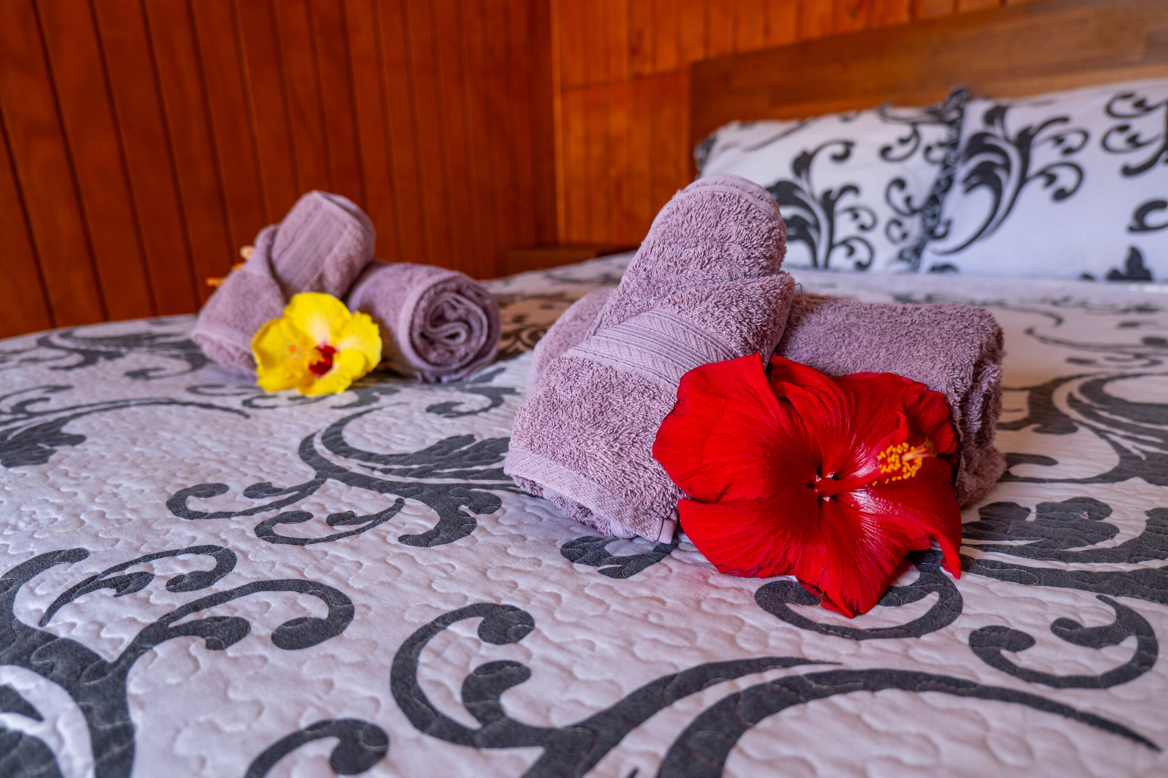 A bed with a patterned bedspread, rolled towels, and a red hibiscus flower.