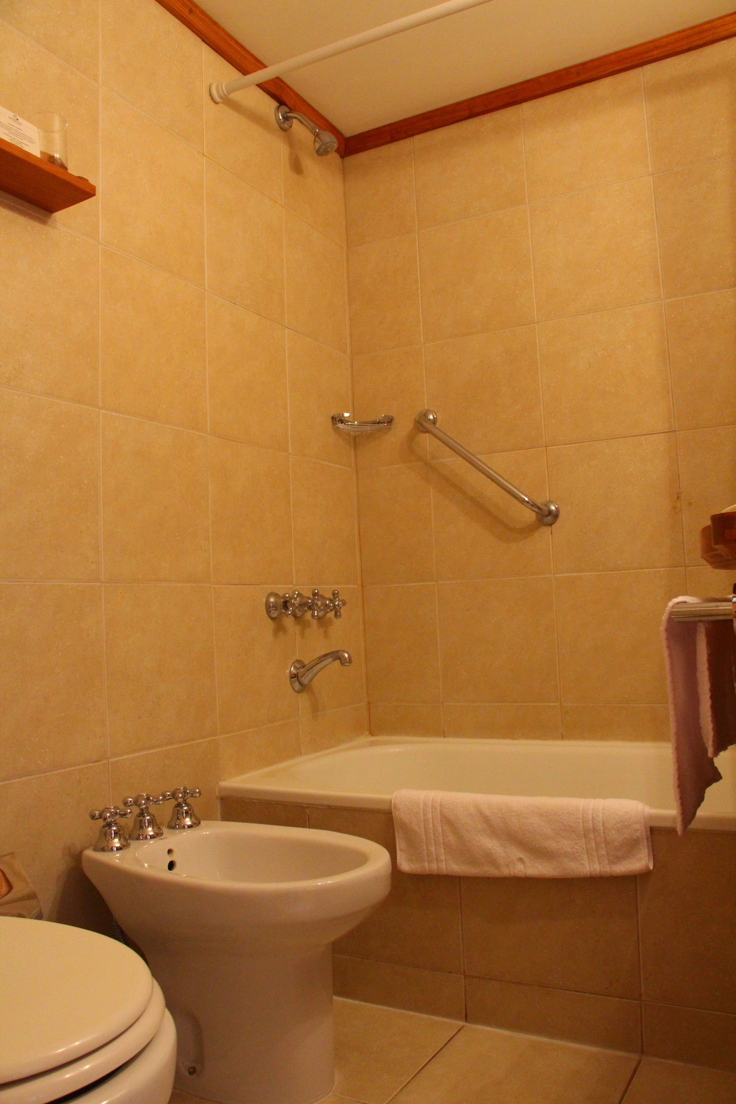 combined shower/bathtub, hair dryer, towels