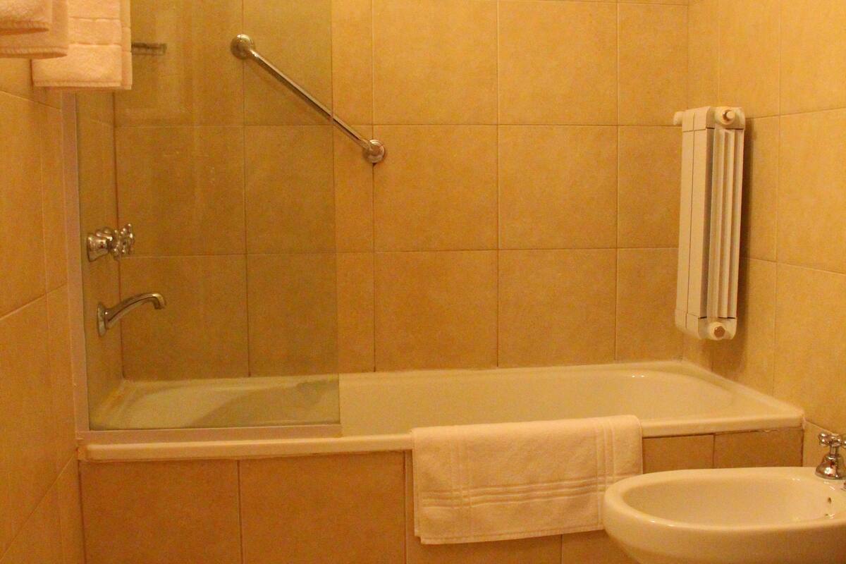 suite | bathroom | combined shower/bathtub, hair dryer, towels