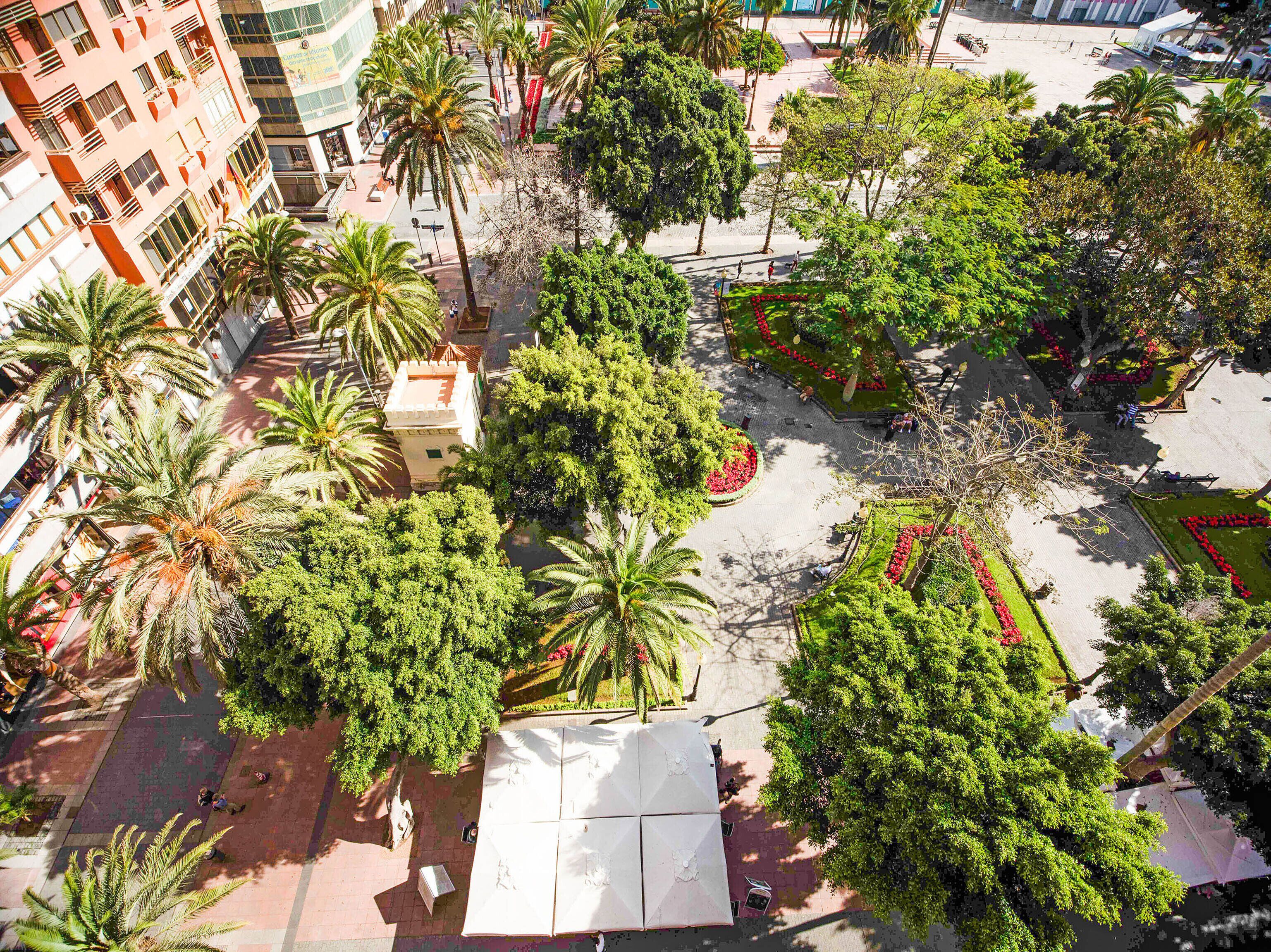 Vista aerea di una piazza con palme, una fontana centrale e edifici circostanti.