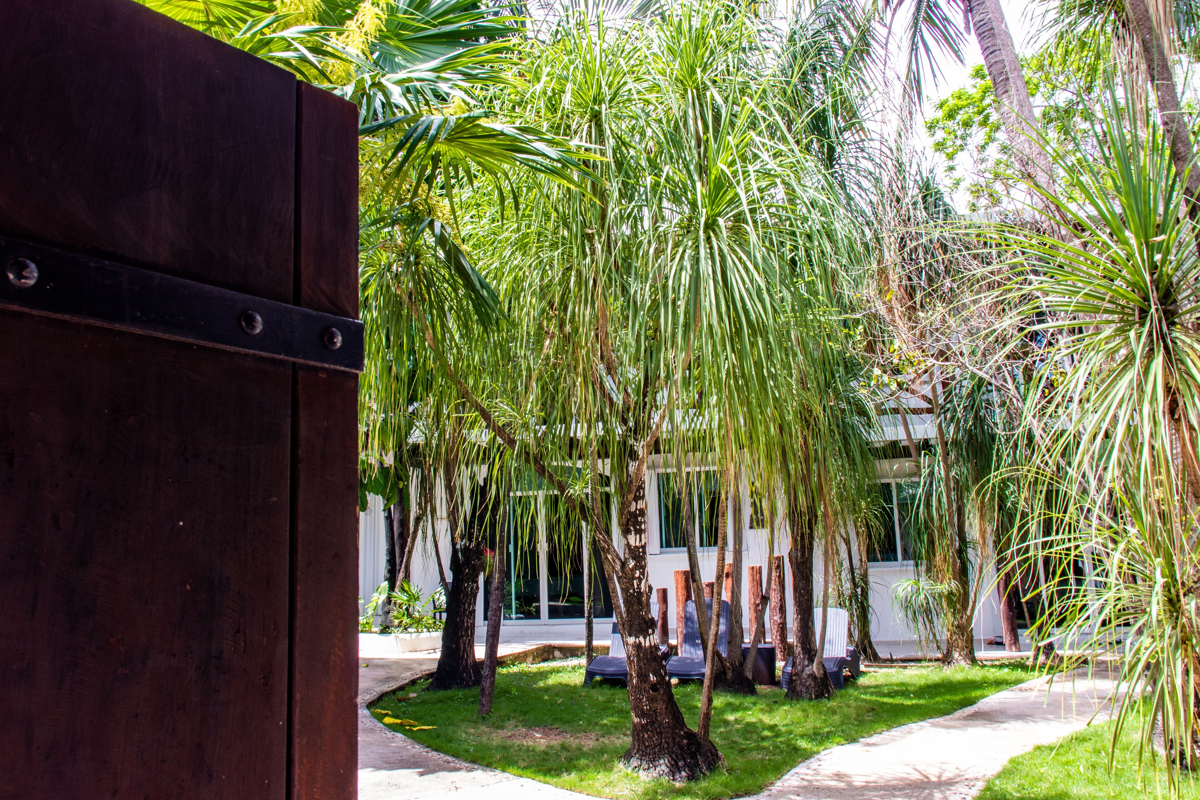 Photo - Hotel Casaejido