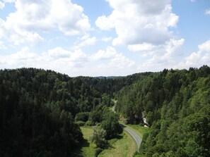 A winding road through a dense forest with a clear sky.