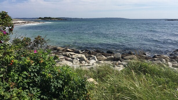 A coastal landscape with rocky shores, clear blue water, and greenery. - Sea Rose Suites (Ogunquit)