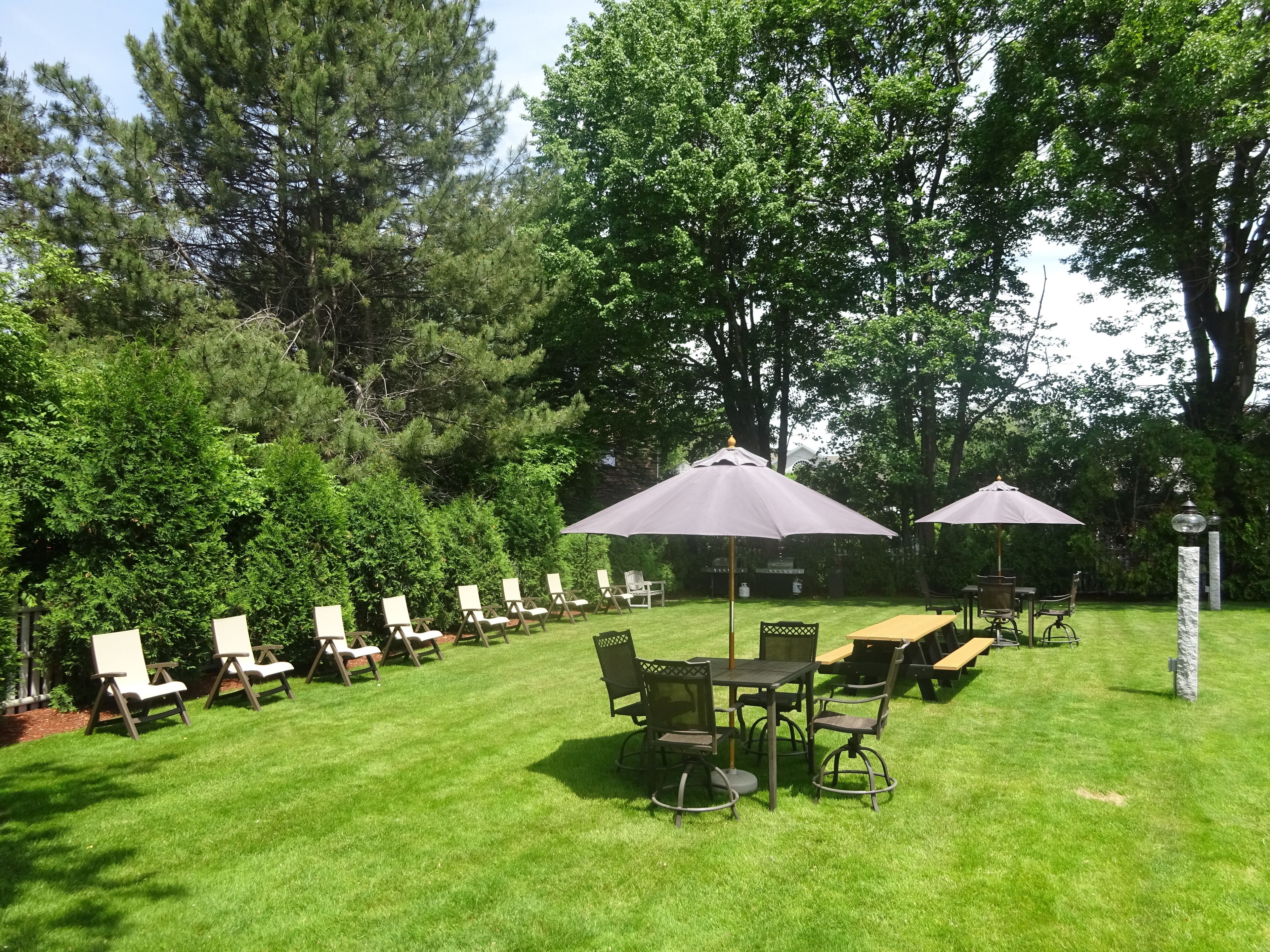 A grassy outdoor area with several lounge chairs and tables, surrounded by trees.