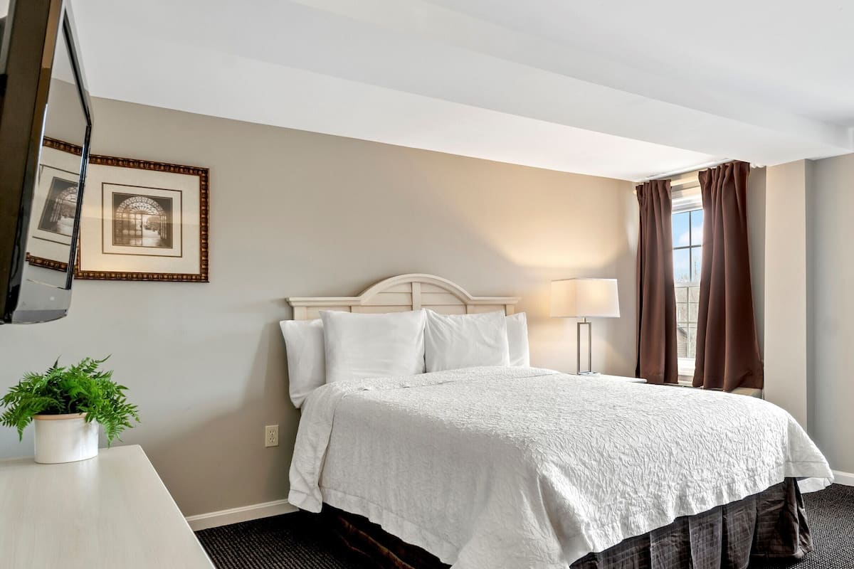 A hotel room with a bed, a potted plant, a flat-screen TV, and a framed picture on the wall.