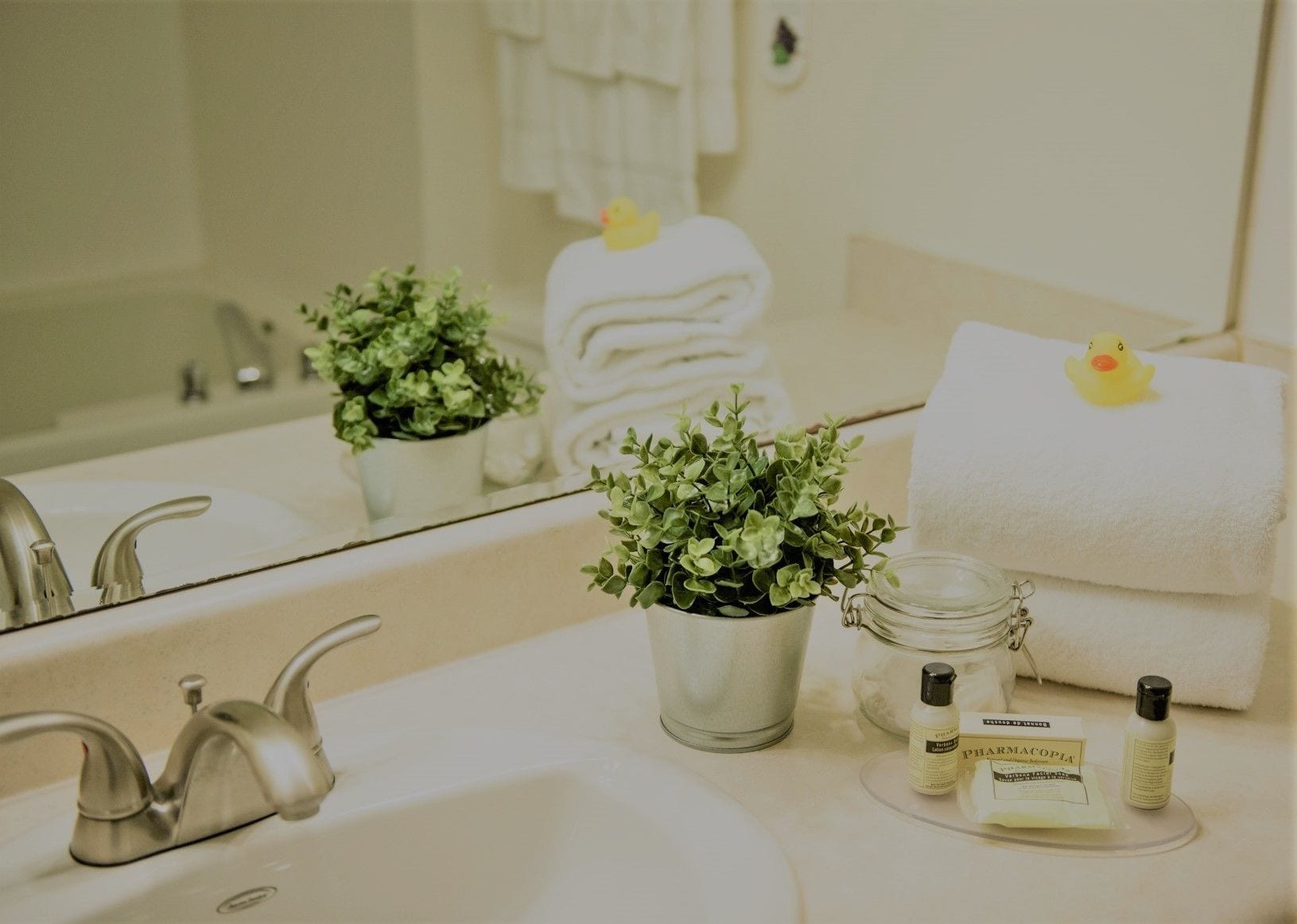 combined shower/bathtub, free toiletries, hair dryer, towels