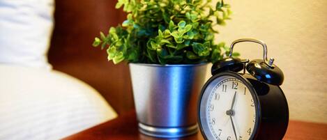 A black alarm clock and a potted plant on a wooden surface.