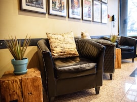 A leather armchair with a patterned cushion, a potted plant, and a wooden stool.
