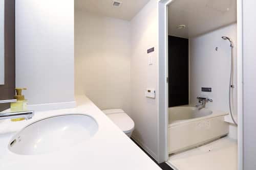 Duschwanne, Komfortbadewanne, kostenlose Toilettenartikel, Haartrockner