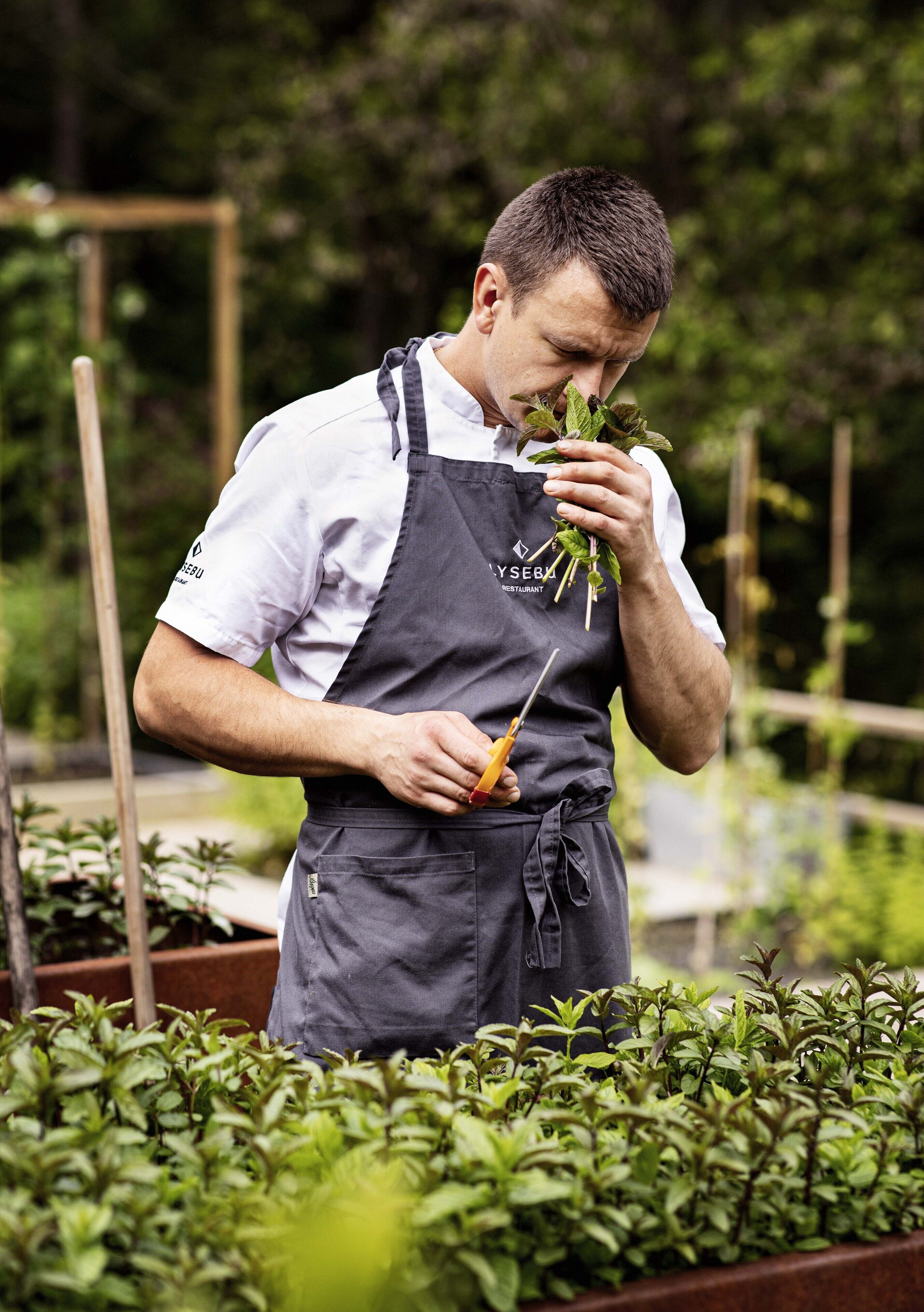 breakfast, lunch, dinner served; local cuisine