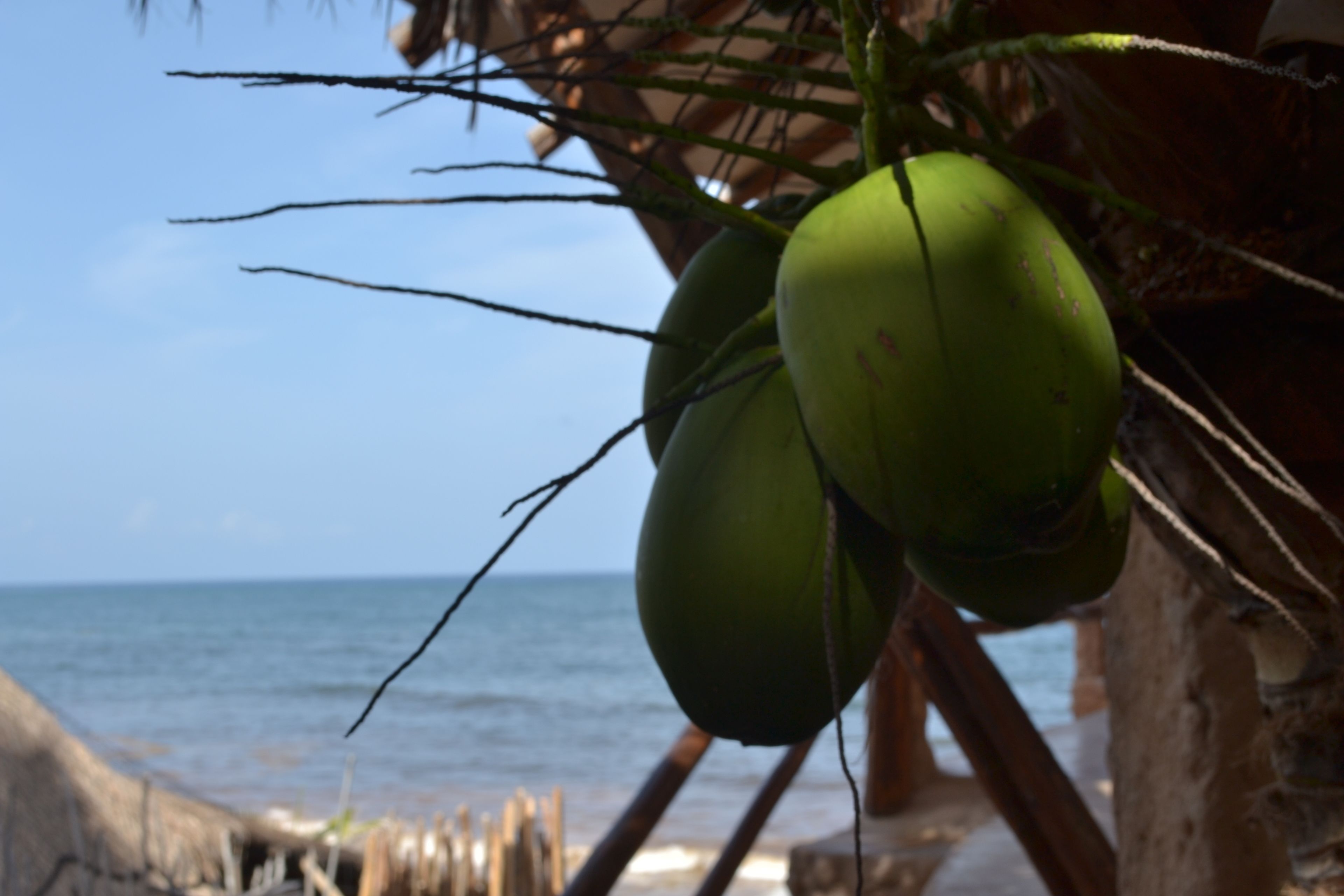Foto - La Posada del Sol Boutique Hotel Tulum