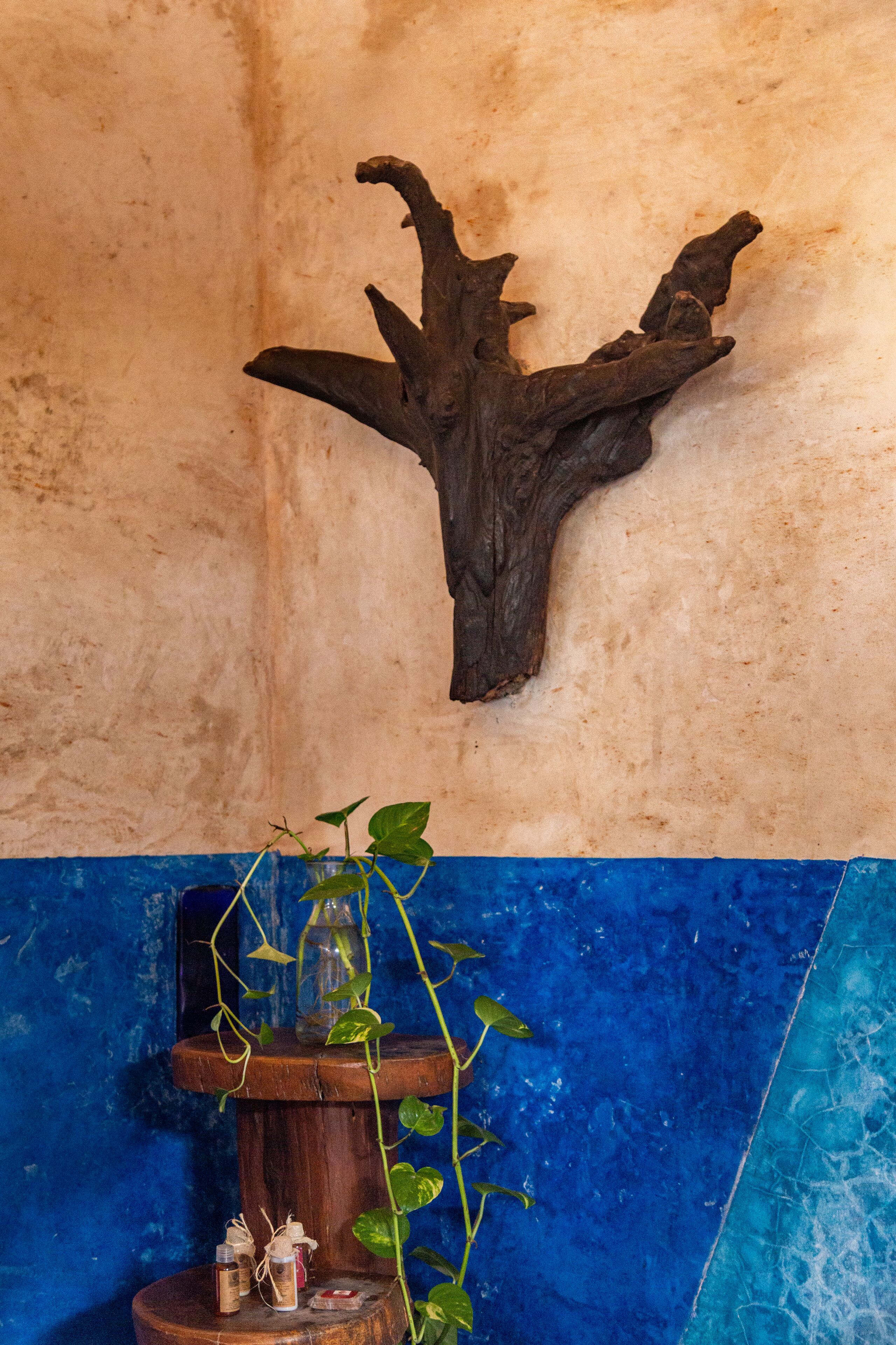 Photo - La Posada del Sol Boutique Hotel Tulum