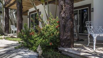 Vista desde la propiedad