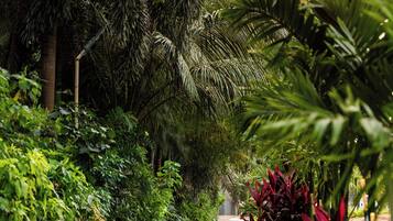 A paved pathway flanked by lush greenery and palm trees, leading towards a distant structure.